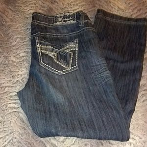 EUC Hydraulic Lily Slim Straight Distressed Jeans